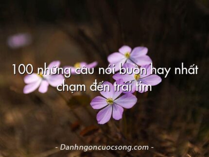 100 những câu nói buồn hay nhất chạm đến trái tim