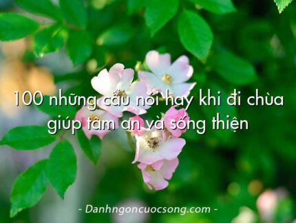 100 những câu nói hay khi đi chùa giúp tâm an và sống thiện