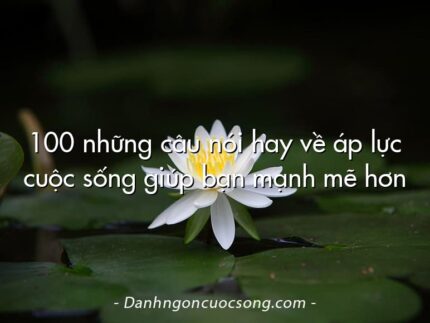 100 những câu nói hay về áp lực cuộc sống giúp bạn mạnh mẽ hơn