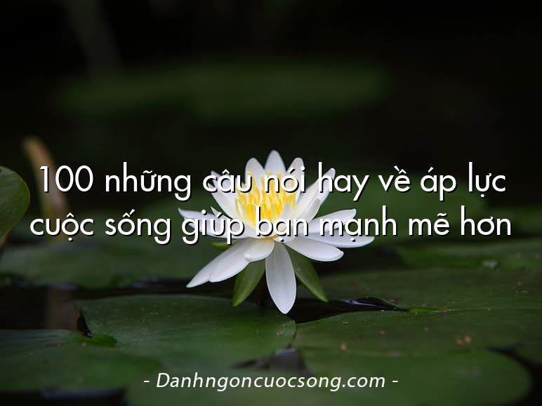 100 những câu nói hay về áp lực cuộc sống giúp bạn mạnh mẽ hơn