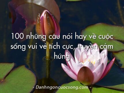 100 những câu nói hay về cuộc sống vui vẻ tích cực, truyền cảm hứng