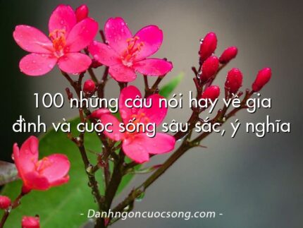 100 những câu nói hay về gia đình và cuộc sống sâu sắc, ý nghĩa
