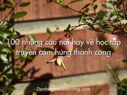 100 những câu nói hay về học tập truyền cảm hứng thành công