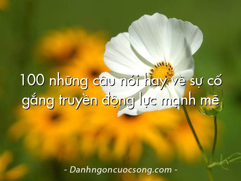 100 những câu nói hay về sự cố gắng truyền động lực mạnh mẽ