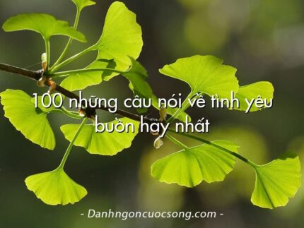100 những câu nói về tình yêu buồn hay nhất