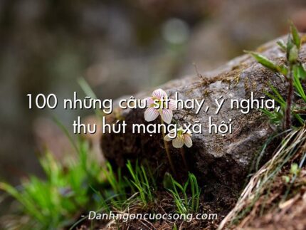 100 những câu stt hay, ý nghĩa, thu hút mạng xã hội