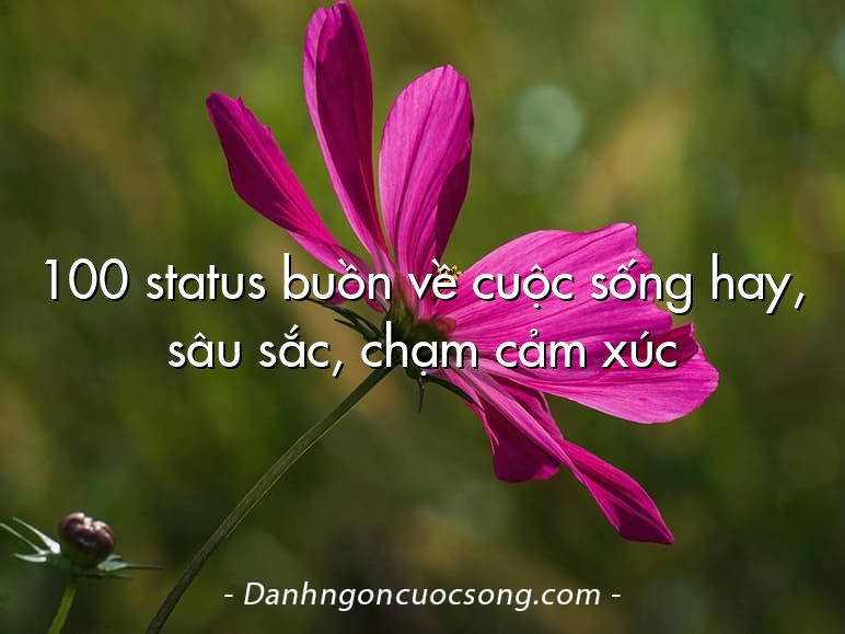 100 status buồn về cuộc sống hay, sâu sắc, chạm cảm xúc
