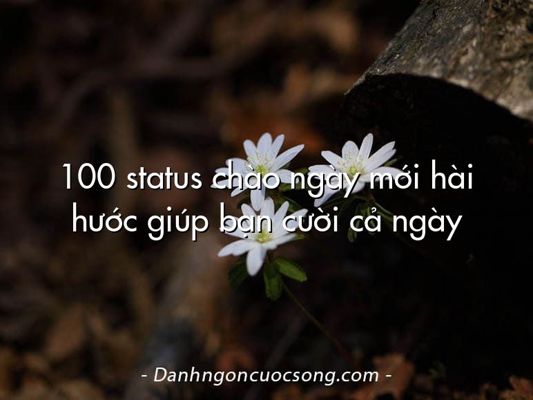 100 status chào ngày mới hài hước giúp bạn cười cả ngày
