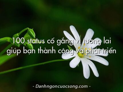 100 status cố gắng vì tương lai giúp bạn thành công và phát triển