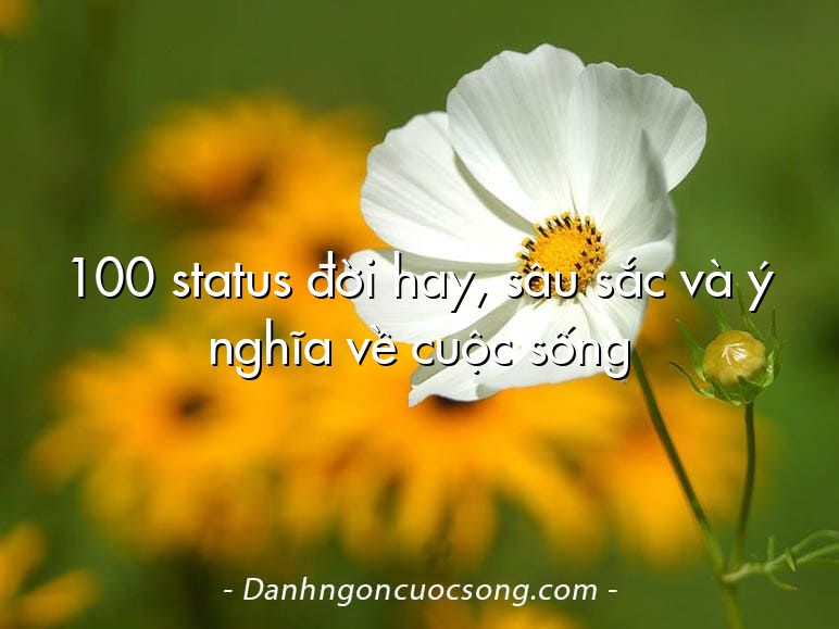 100 status đời hay, sâu sắc và ý nghĩa về cuộc sống