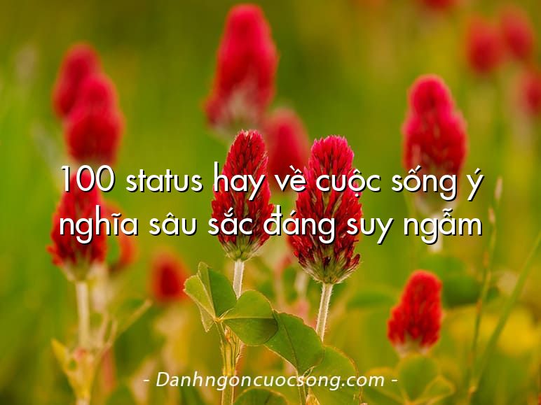 100 status hay về cuộc sống ý nghĩa sâu sắc đáng suy ngẫm