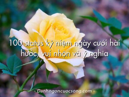 100 status kỷ niệm ngày cưới hài hước, vui nhộn và ý nghĩa
