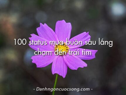 100 status mưa buồn sâu lắng chạm đến trái tim