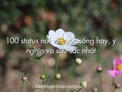 100 status nói về cuộc sống hay, ý nghĩa và sâu sắc nhất