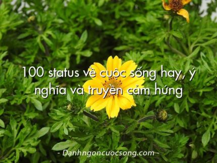 100 status về cuộc sống hay, ý nghĩa và truyền cảm hứng