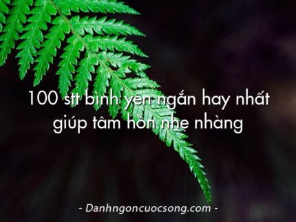 100 stt bình yên ngắn hay nhất giúp tâm hồn nhẹ nhàng