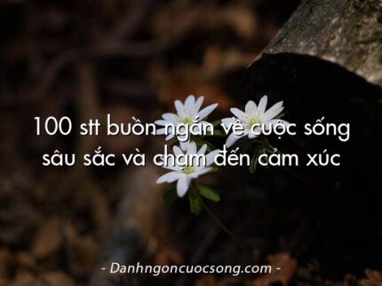 100 stt buồn ngắn về cuộc sống sâu sắc và chạm đến cảm xúc