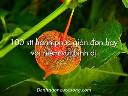 100 stt hạnh phúc giản đơn hay với niềm vui bình dị