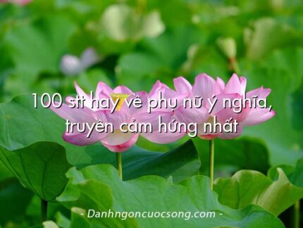 100 stt hay về phụ nữ ý nghĩa, truyền cảm hứng nhất