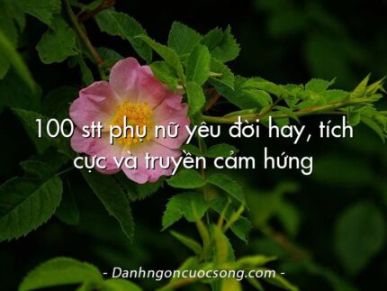 100 stt phụ nữ yêu đời hay, tích cực và truyền cảm hứng