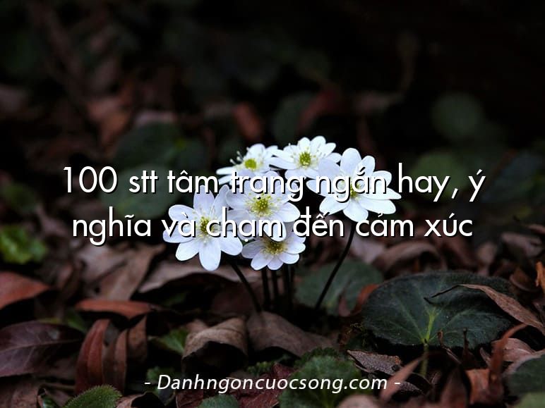 100 stt tâm trạng ngắn hay, ý nghĩa và chạm đến cảm xúc