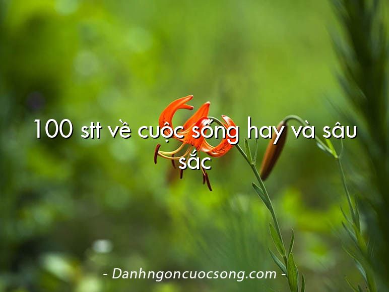 100 stt về cuộc sống hay và sâu sắc