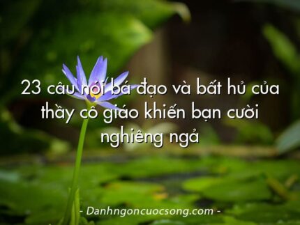 23 câu nói bá đạo và bất hủ của thầy cô giáo khiến bạn cười nghiêng ngả