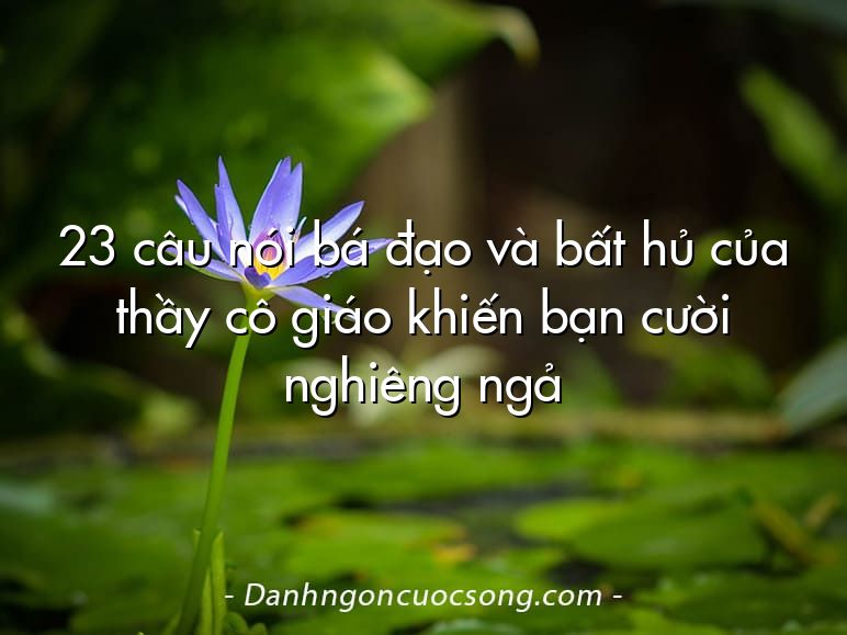23 câu nói bá đạo và bất hủ của thầy cô giáo khiến bạn cười nghiêng ngả