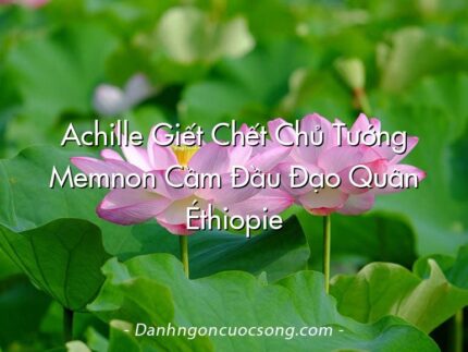 Achille Giết Chết Chủ Tướng Memnon Cầm Đầu Đạo Quân Éthiopie