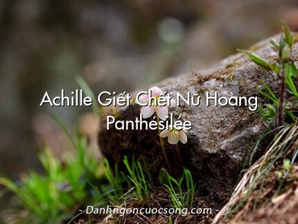 Achille Giết Chết Nữ Hoàng Panthésilée