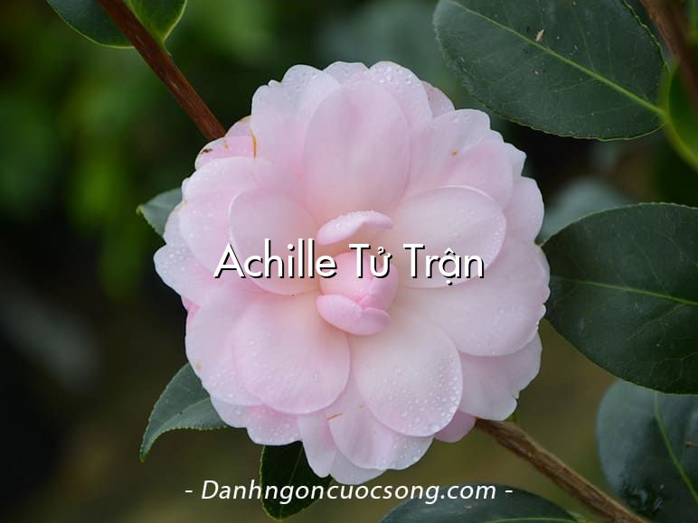 Achille Tử Trận