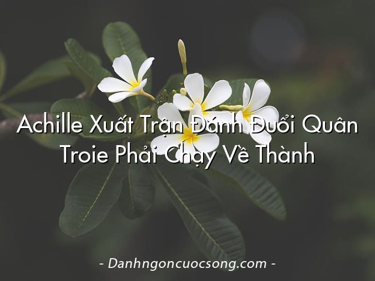 Achille Xuất Trận Đánh Đuổi Quân Troie Phải Chạy Về Thành