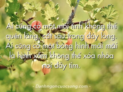 Ai cũng có một mối tình không thể quên lãng, cất sâu trong đáy lòng. Ai cũng có một bóng hình mãi mãi là hình xăm không thể xóa nhòa nơi đáy tim.