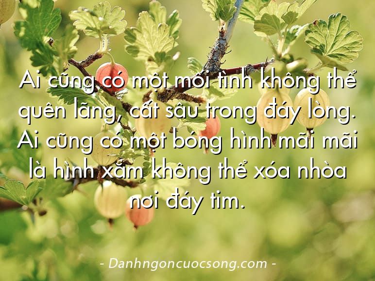 Ai cũng có một mối tình không thể quên lãng, cất sâu trong đáy lòng. Ai cũng có một bóng hình mãi mãi là hình xăm không thể xóa nhòa nơi đáy tim.