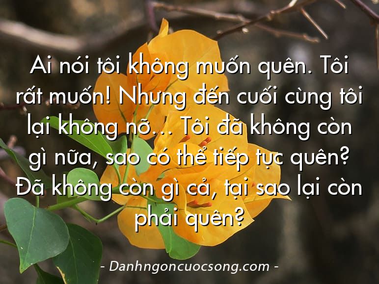 Ai nói tôi không muốn quên. Tôi rất muốn! Nhưng đến cuối cùng tôi lại không nỡ… Tôi đã không còn gì nữa, sao có thể tiếp tục quên? Đã không còn gì cả, tại sao lại còn phải quên?