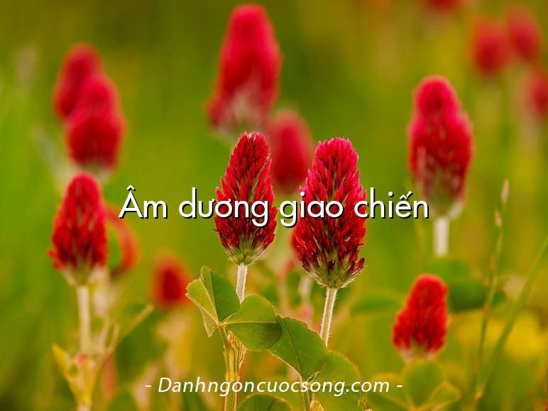 Âm dương giao chiến