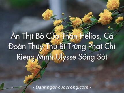 Ăn Thịt Bò Của Thần Hélios, Cả Đoàn Thủy Thủ Bị Trừng Phạt Chỉ Riêng Mình Ulysse Sống Sót