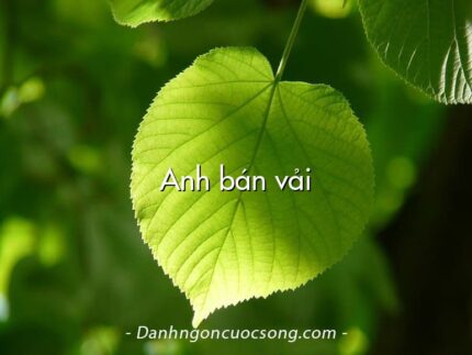 Anh bán vải