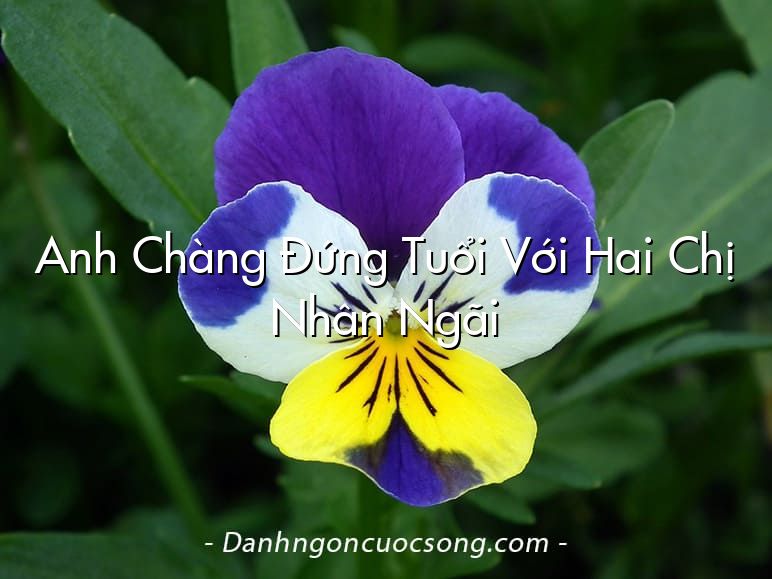 Anh Chàng Đứng Tuổi Với Hai Chị Nhân Ngãi