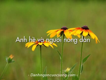 Anh hề và người nông dân