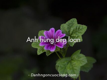 Anh hùng dẹp loạn