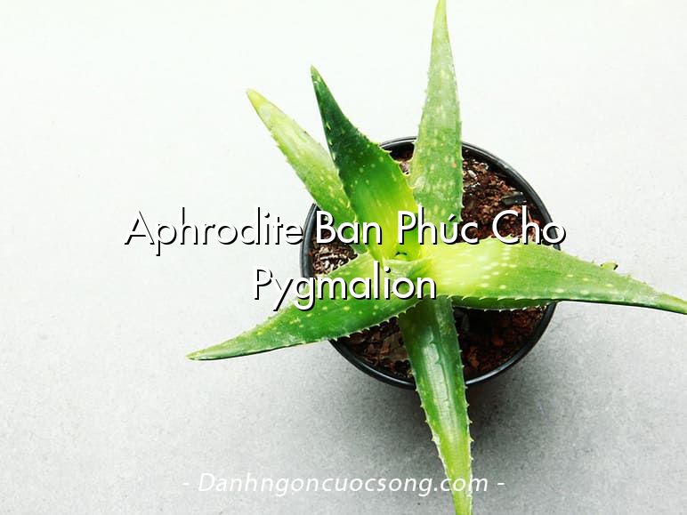 Aphrodite Ban Phúc Cho Pygmalion