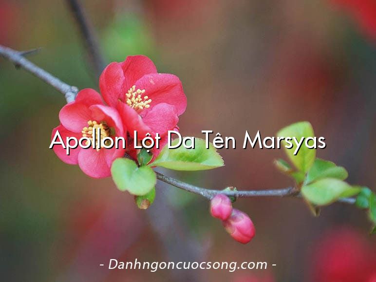 Apollon Lột Da Tên Marsyas