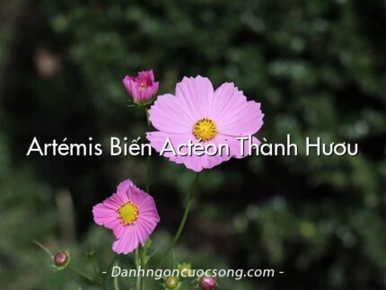 Artémis Biến Actéon Thành Hươu