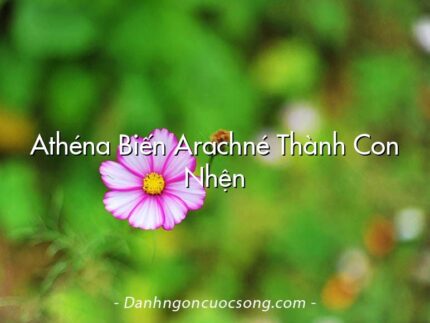 Athéna Biến Arachné Thành Con Nhện