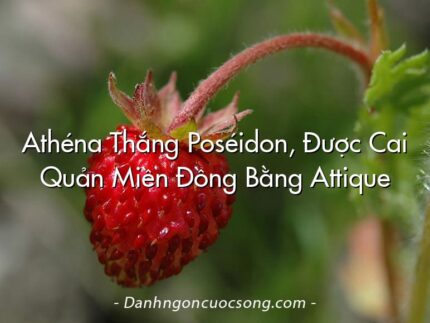 Athéna Thắng Poséidon, Được Cai Quản Miền Đồng Bằng Attique