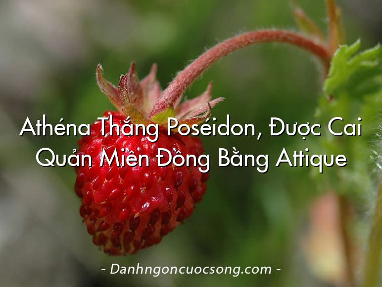 Athéna Thắng Poséidon, Được Cai Quản Miền Đồng Bằng Attique