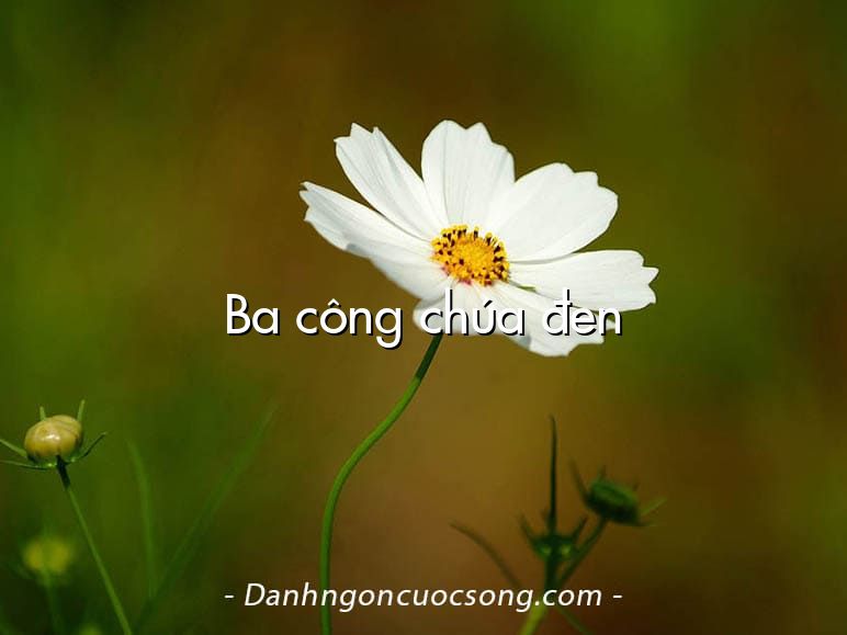 Ba công chúa đen