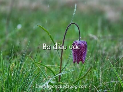 Ba điều ước