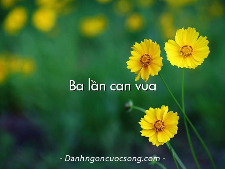 Ba lần can vua